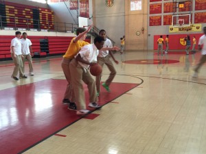 IMG_0532