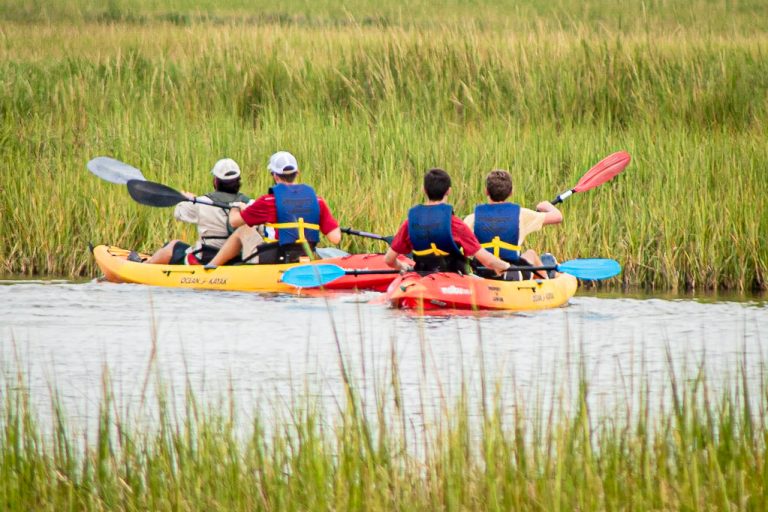 Bayou Farewell, Bayou Hello: 8th Graders Field Trip to the Bayou